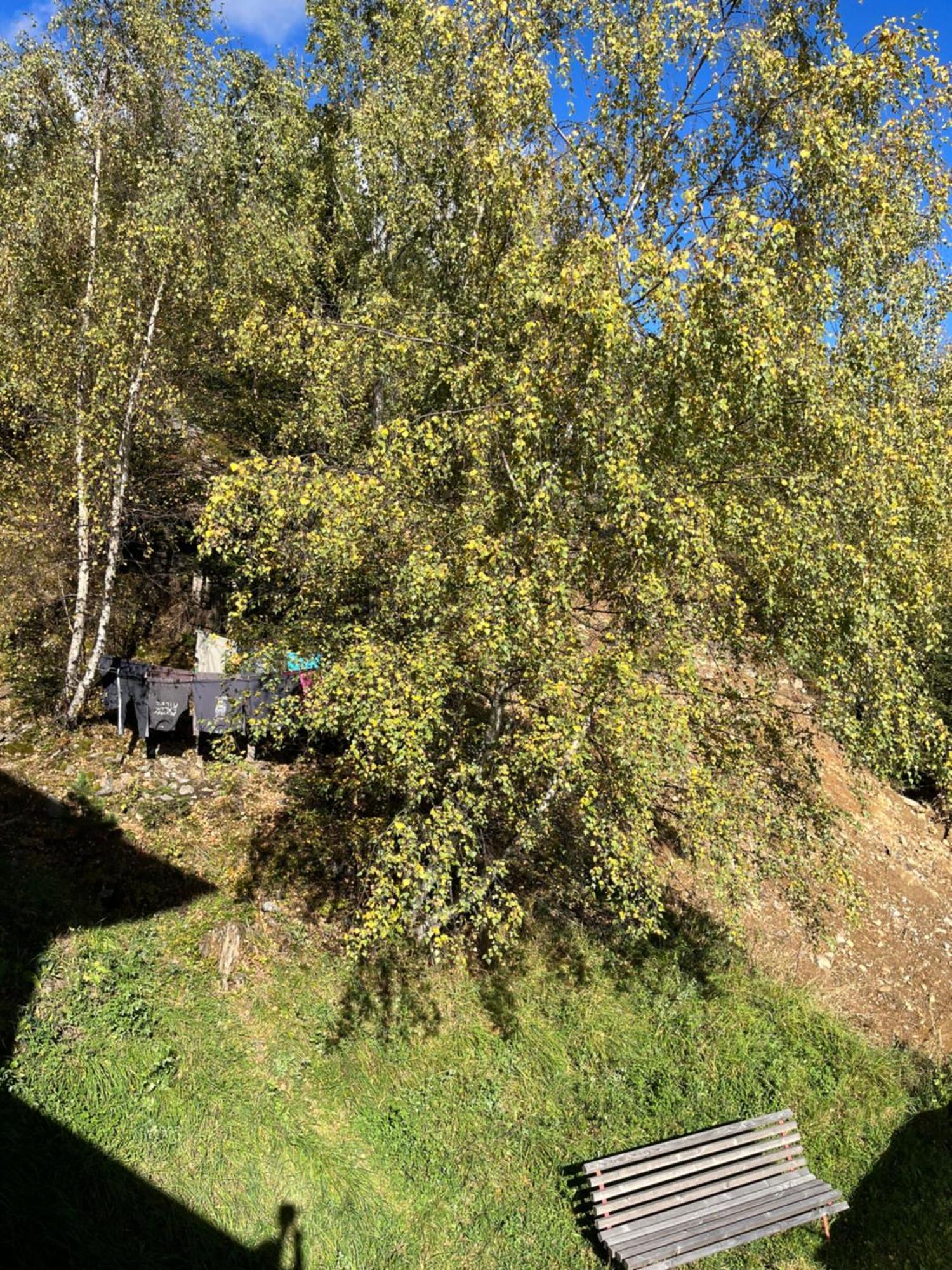 Green Mountain Retreat 弗利斯 外观 照片
